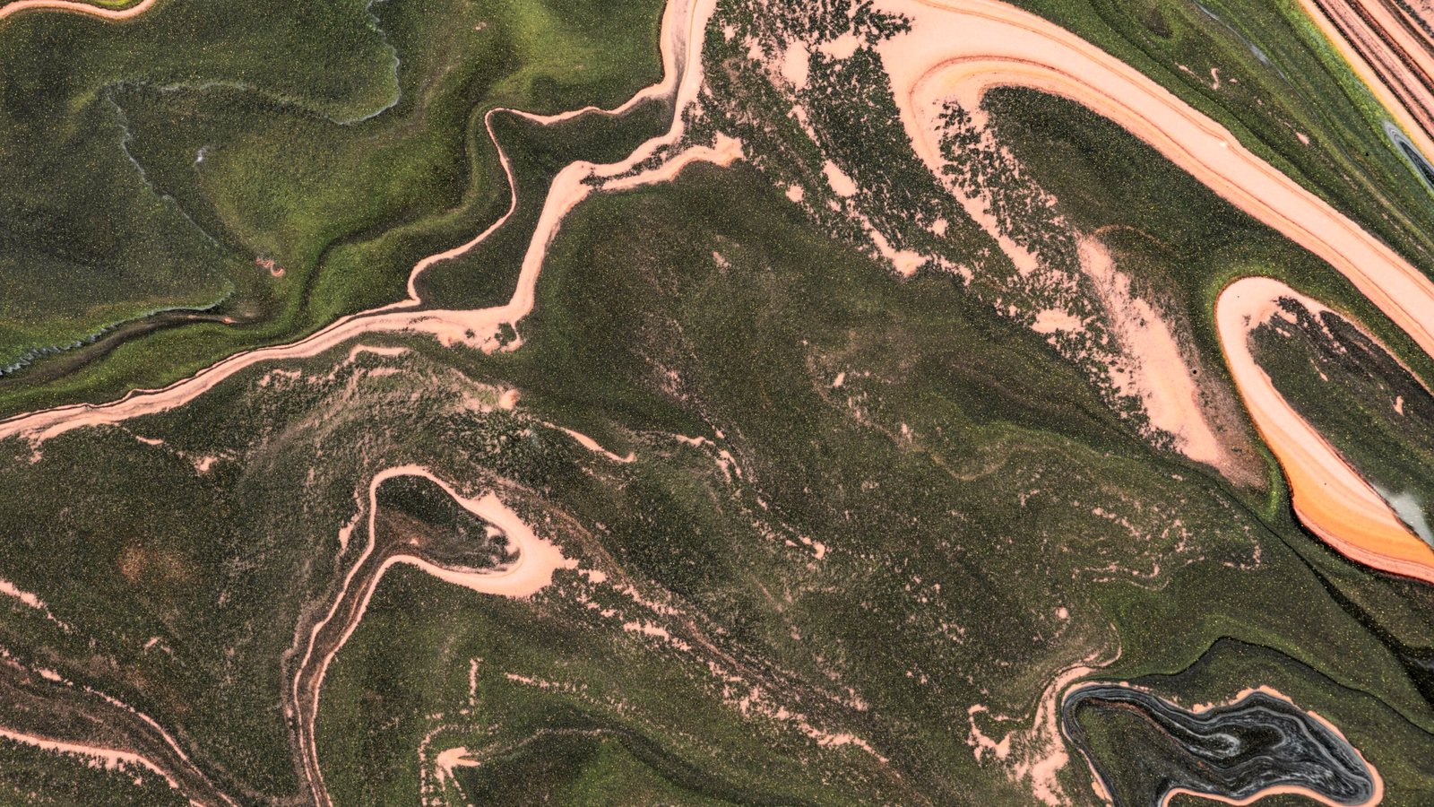 Top-down aerial survey of a land parcel