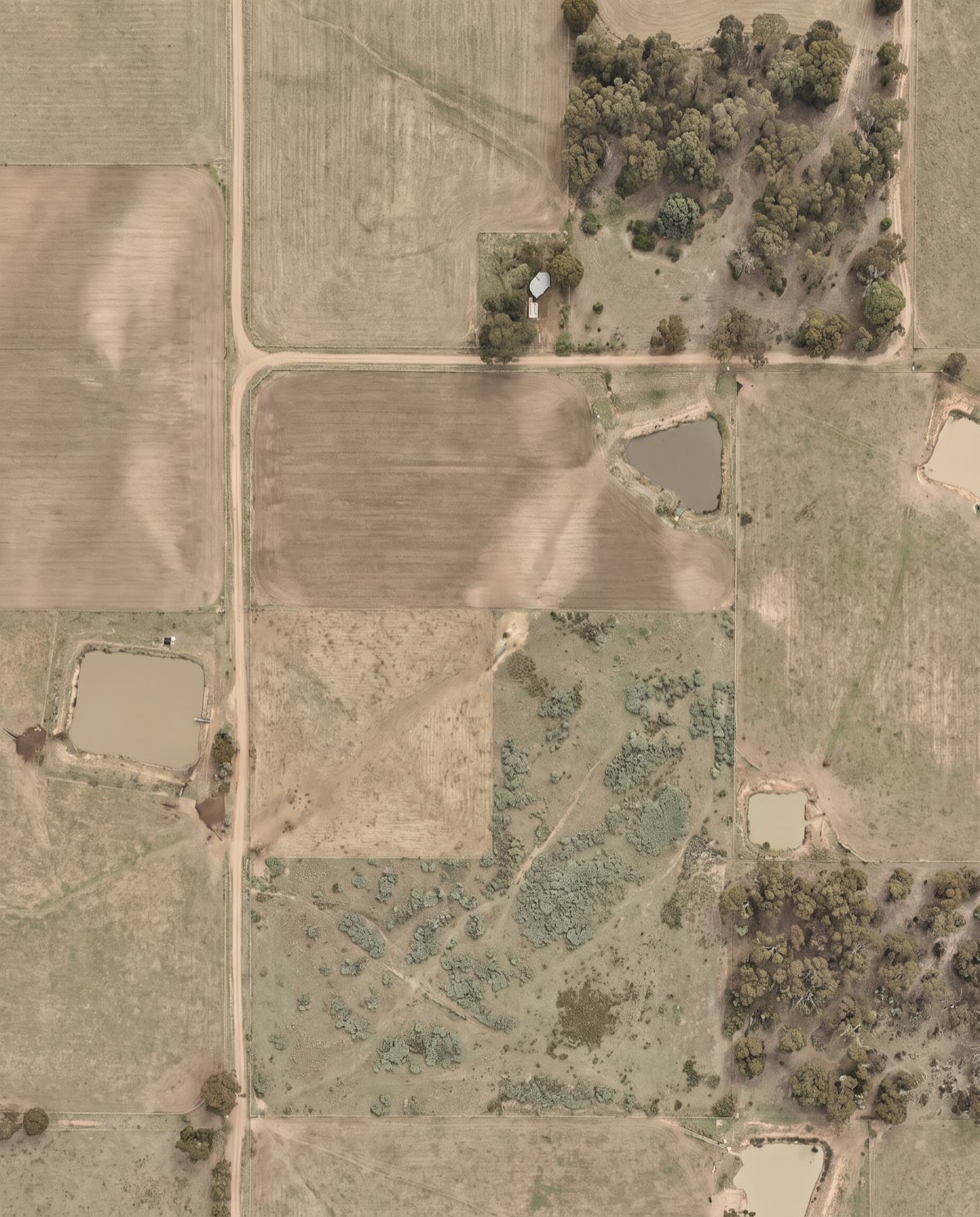 Orthomosaic Mapping — aerial capture example