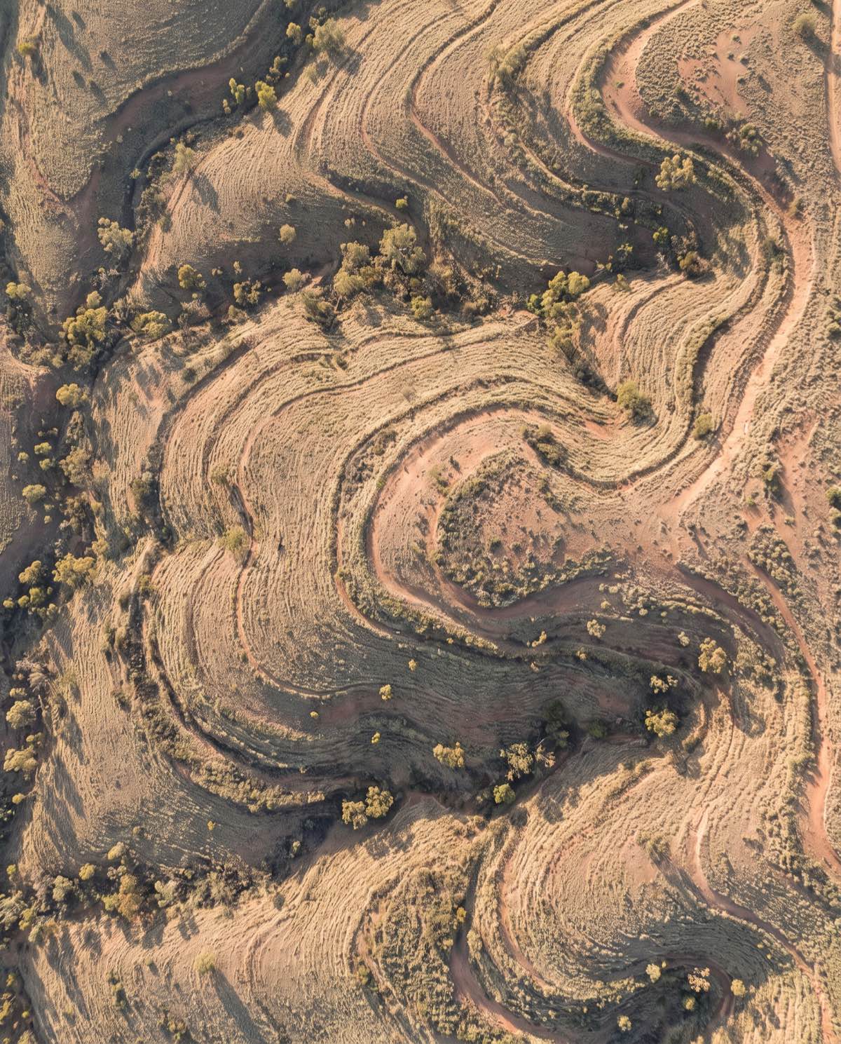 Topographic Surveys — aerial capture example